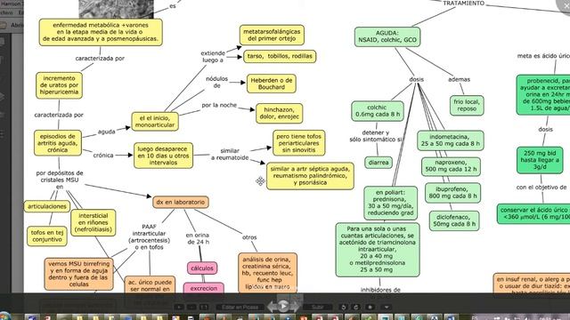 GOTA  Mapa Conceptual Basado En Harrison
