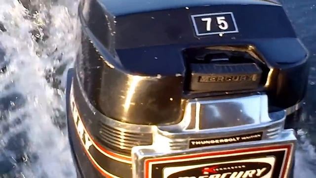 Mercury 7.5 Hp Outboard