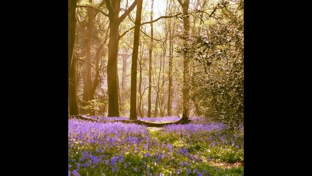 365 Gifts Day 134 Universal Kindness