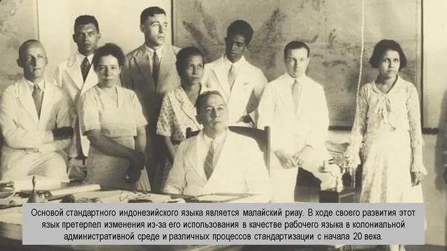индонезийский смотреть онлайн