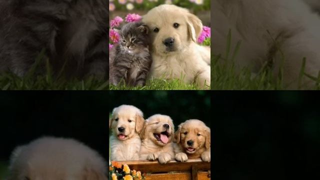 наша Планета, потрясающе создана Богом смотреть онлайн