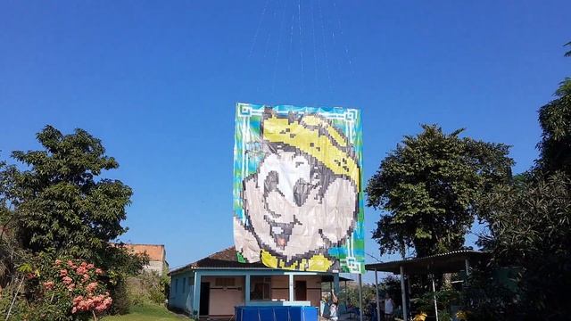 Balão solar modelado 6 MT bandeira 6x8 смотреть онлайн