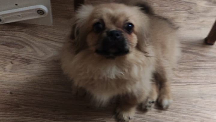 как я ехал в общагу(на работу)