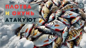 Ловля окуня на балду и плотвы на безмотылку. Рыбалка на водохранилище зимой.