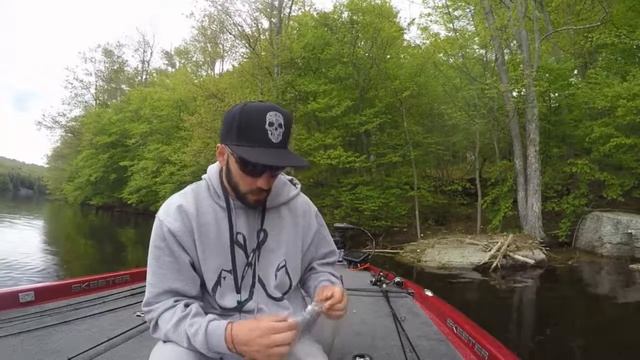 Reins FAT Rockvibe shad REVIEW Plus Fish CATCHES!!!! смотреть онлайн