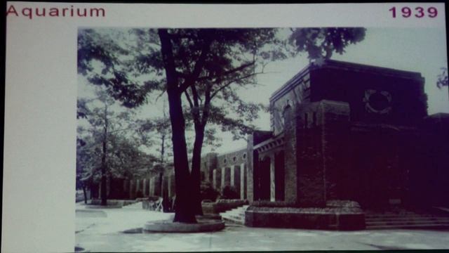 Ursula Currie, The Toledo Aquarium