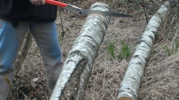 Тест пил Silky моделей BIGBOY, POCKETBOY, GOMBOY