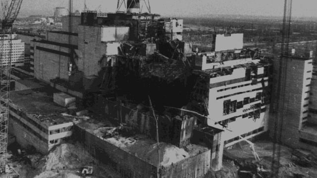 The Black Bird of Chernobyl смотреть онлайн