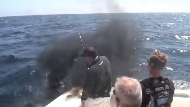 2010 Zane Grey Marlin Tournament смотреть онлайн