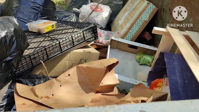 Обогащаюсь на мусорках Москвы. Майские заморозки на кормилицах.