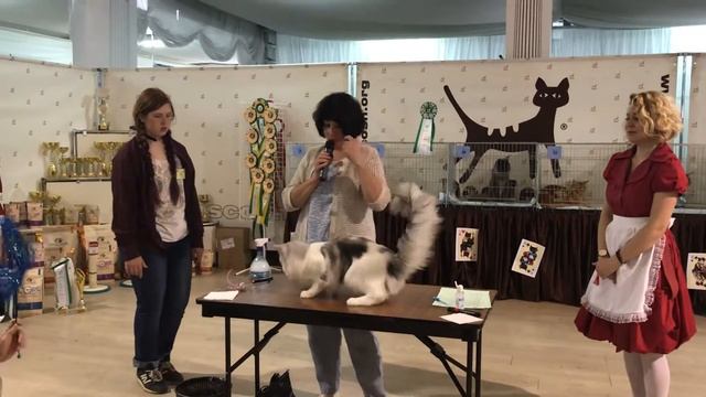 Jupiter Favourite of Summer Rain*RU смотреть онлайн