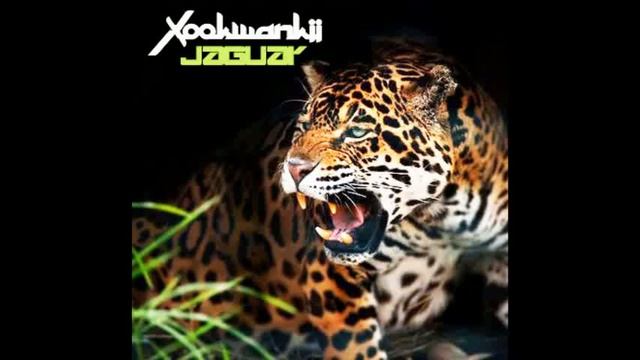 Xookwankii Jaguar смотреть онлайн