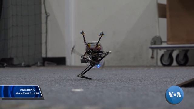 Salto - balandga sakraydigan mitti robot смотреть онлайн