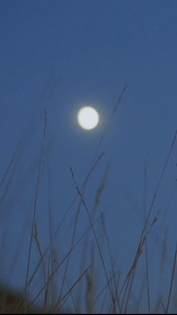 aesthetic clips for edits * moon * no copyright song смотреть онлайн