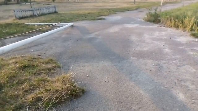 Прогулка німецької чорної вівчарки з елементами дресирування смотреть онлайн