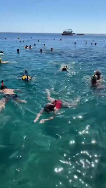 Egypt. Hilton Sharks Bay. Red Sea. Sharm-El-Sheikh