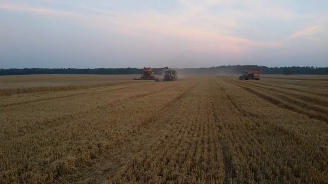 Wielkie żniwa Claas Lexion 770 / Case 2388 / Case Stringer 9370 смотреть онлайн
