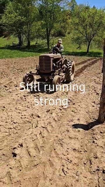 73 year old Farmall still planting potatoes! #oldtractors #farmall смотреть онлайн