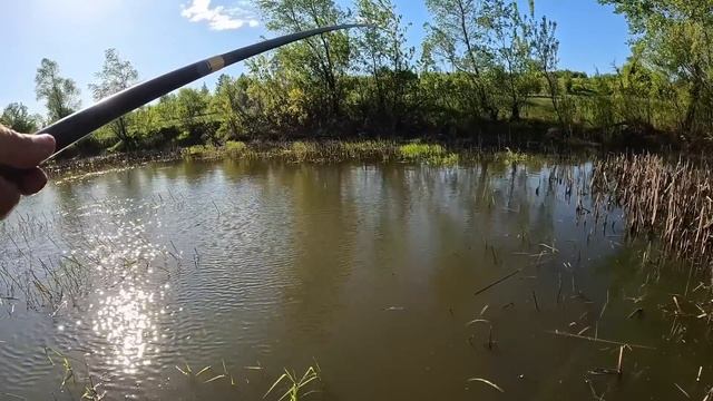 Рыбалка на поплавок в мае 2024 на речке смотреть онлайн