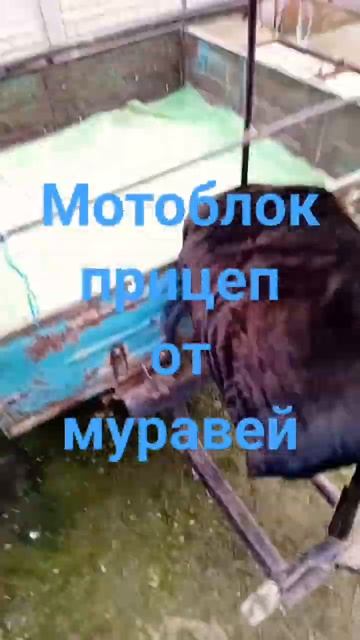прицеп от муравей своими руками #своими руками #мотоблок#прицеп смотреть онлайн