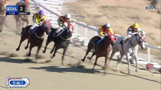 (Seoul) 2023.11.25 R2 Class 6 (1200M) Special Weight A смотреть онлайн