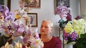 КОРНИ_ОРХИДЕИ_В_ПУСТОЙ_ВАЗЕ66.mp4