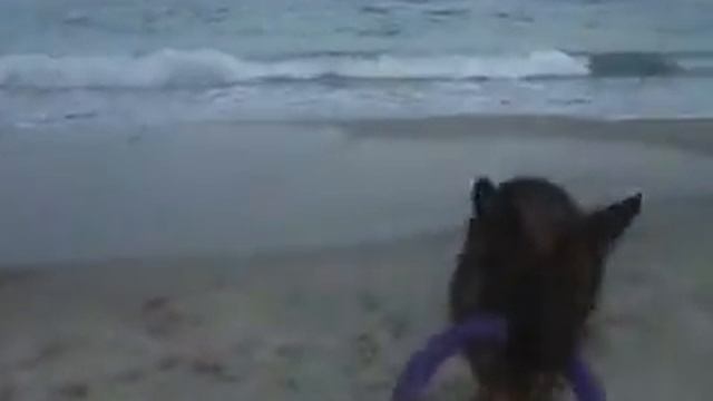 С пуллером на море.AVI смотреть онлайн