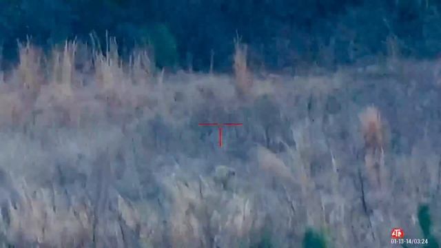 Coyote and Bobcat Hunt смотреть онлайн