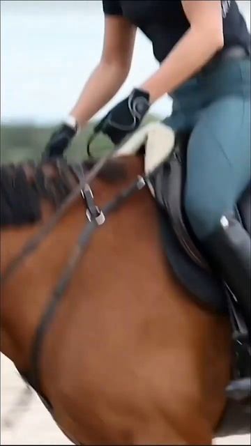 Факт о лошадях 🐎 #планета смотреть онлайн