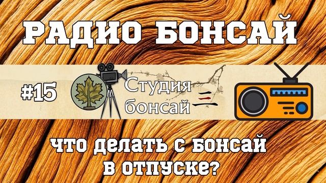 Что делать с бонсай в отпуске? / Радио подкаст - Павел Горбачев (15 выпуск) @Studio.Bonsai смотреть онлайн