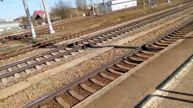 Электропоезд эт2м-096 Сообщением Санкт-Петербург Любань Прибыл в 14 Часов 34 Минуты Тосно смотреть онлайн