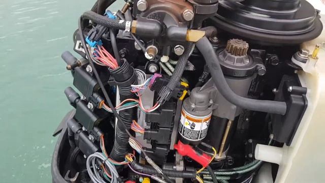 Prueba de motor fueraborda Mercury 50 CV 2T смотреть онлайн