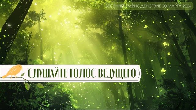 Медитация в Весеннее Равноденствие 20 марта 2024 | Медитация на чакры 2024 смотреть онлайн