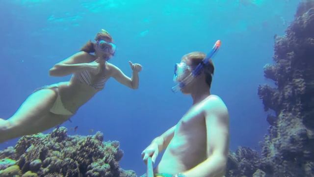 Epic Snorkeling Marsa Alam 2014 смотреть онлайн