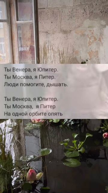 Ты Венера юпитер ты Москва, я    Питер!￼🎵 #shorts #likefancy #trend #funny #dance #песня