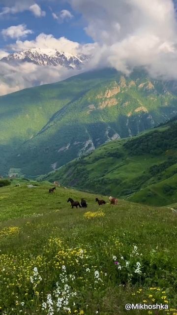 Доброе утро ❤️