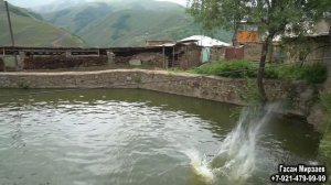 Свадьба  село  Дзилебки   22 07 2020