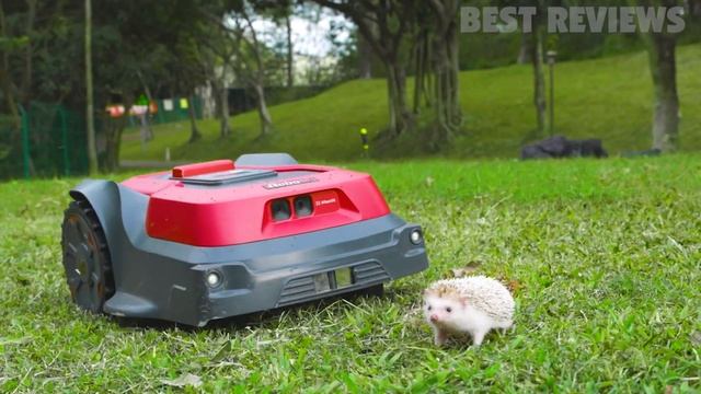 RoboUP Robotic Lawn Mower Review @iRoboUP смотреть онлайн