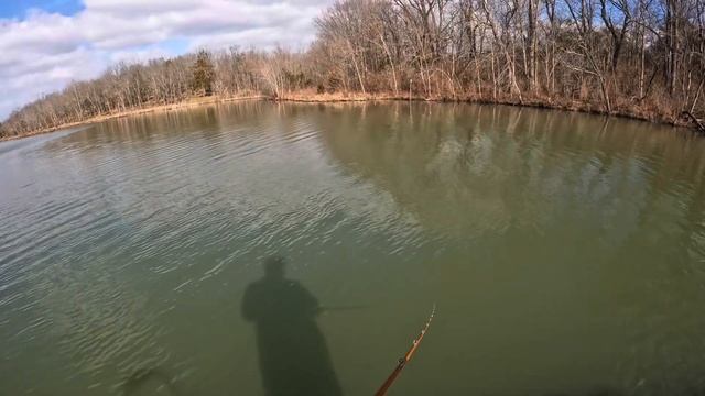 #bagley balsa b1 , #rapala og tiny cold winter cranking 2/3/2024 squarebill смотреть онлайн