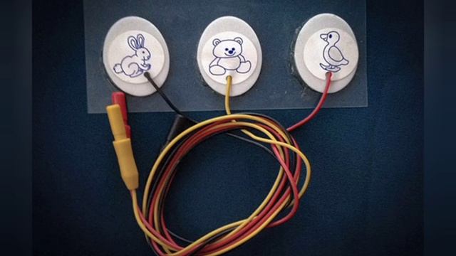 BelE Факты Научные окрытия 2023 года