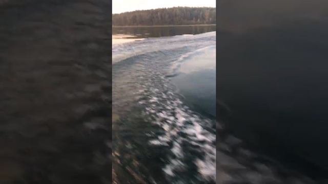 Меркурий 5 л смотреть онлайн