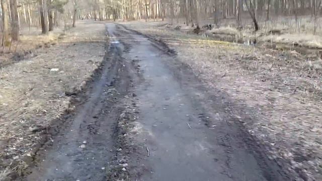 Повреждение дорожки в Александрийском парке Петергофа смотреть онлайн