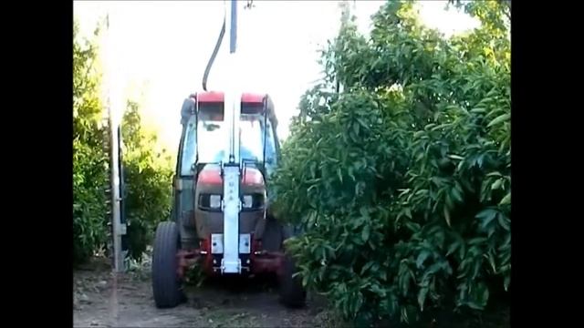 Edge trimmer for pruning orchards /Podadora frutales de cuchillas. смотреть онлайн