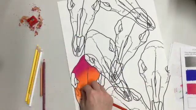 Unit 2 Contour Line Drawing Step 3 Prisma Colored Pencils (Time lapse) смотреть онлайн