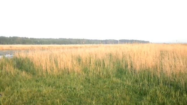 квакеры [wirruss] весенние напевы 30-05-2015 смотреть онлайн