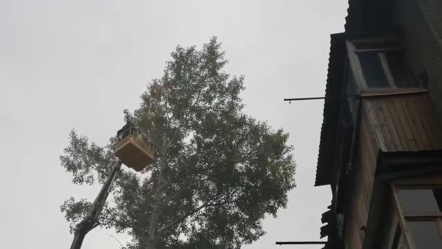 Вот так пилим 😎 смотреть онлайн