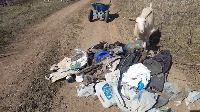 Гражданская позиция 3. Уборка лесополосы смотреть онлайн