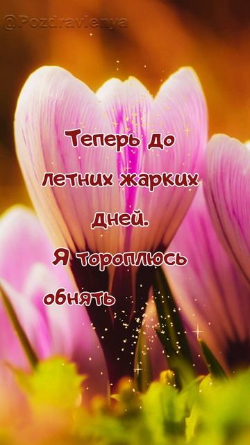 С днём весеннего равноденствия! смотреть онлайн