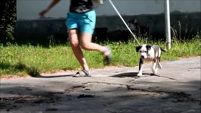 Карма Калипсо с Планеты Звезд смотреть онлайн