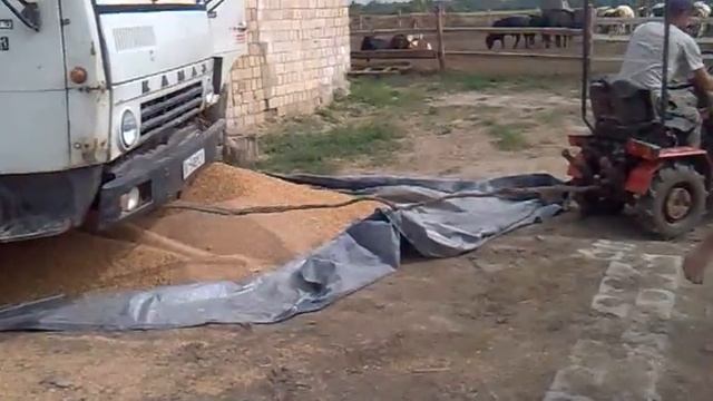 Минитрактор Беларус Борисполь 2 смотреть онлайн